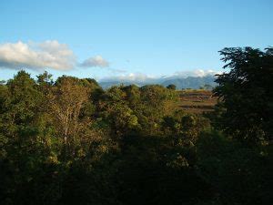 botanical gardens philippines|SIIT Arboretum – Botanical Gardens.